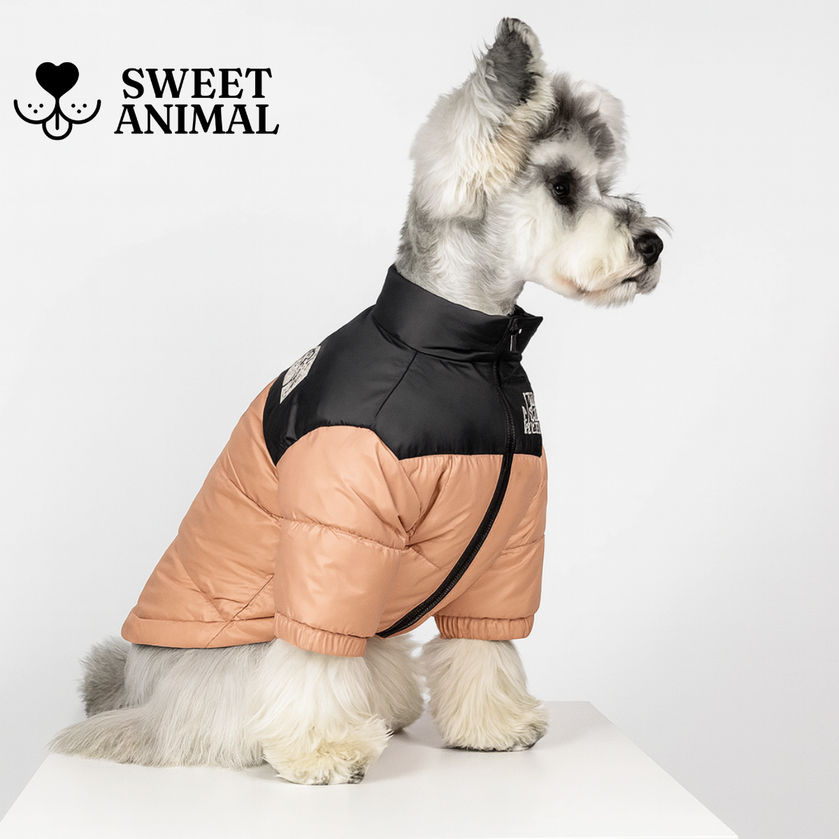 The Dog Face Piumino