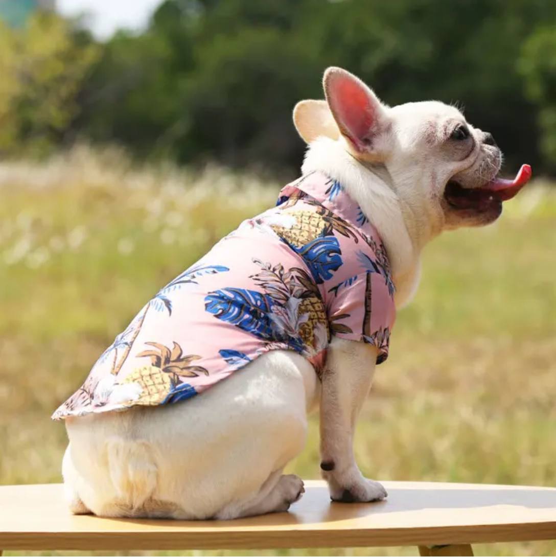 Camicie Estive Sweet Animal