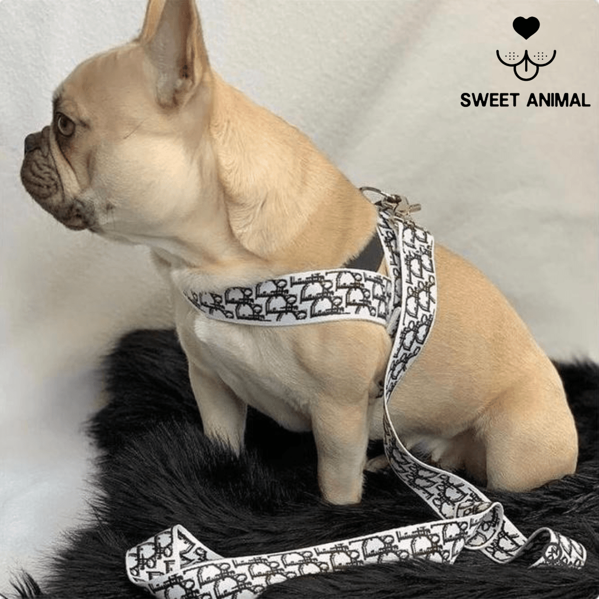 Pettorina e guinzaglio Dogior - Sweet Animal