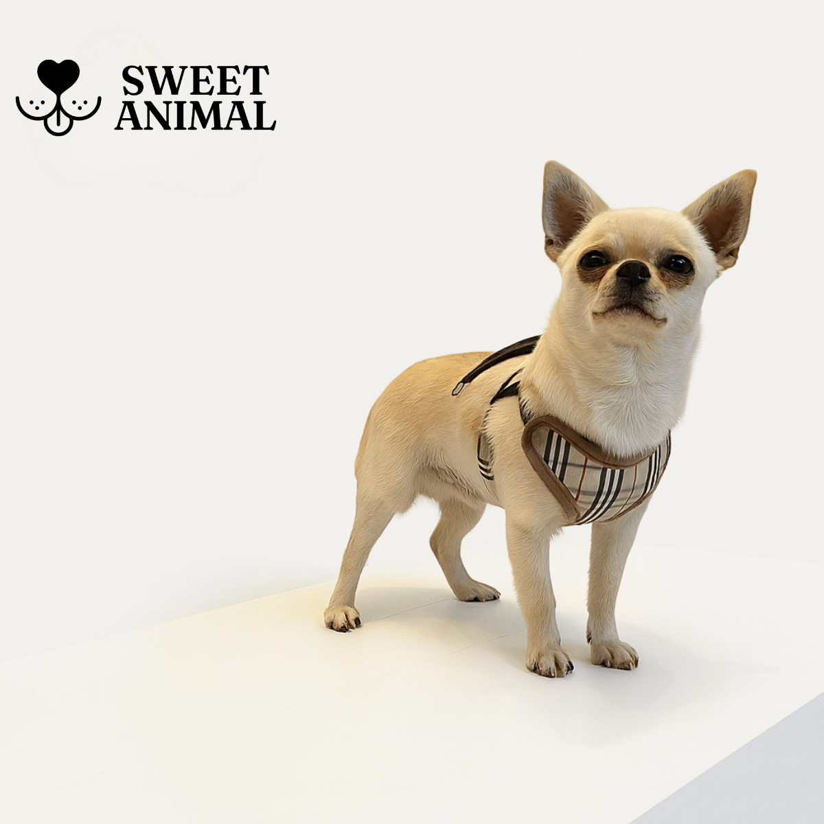 Pettorina e guinzaglio Bauberry