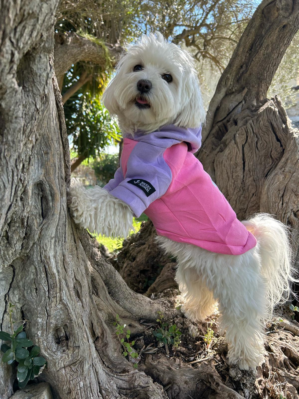 Sweet Paw Hoodie