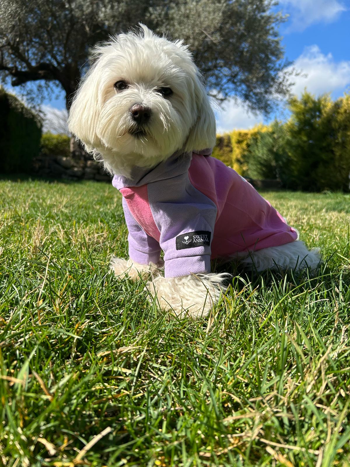Sweet Paw Hoodie
