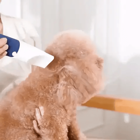 Sweet Groomer 3 in 1 - Asciugatore & Spazzola