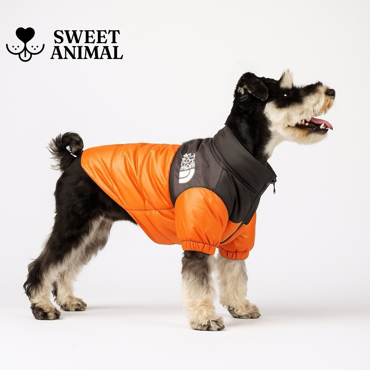 The Dog Face Piumino