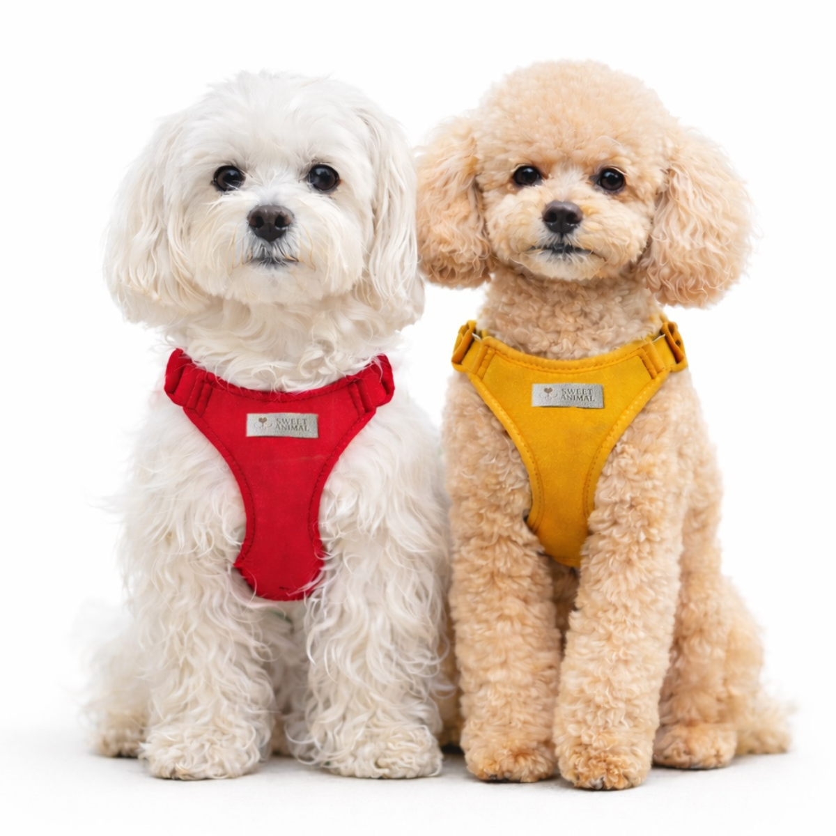 Pettorina e guinzaglio Sweet Suede™