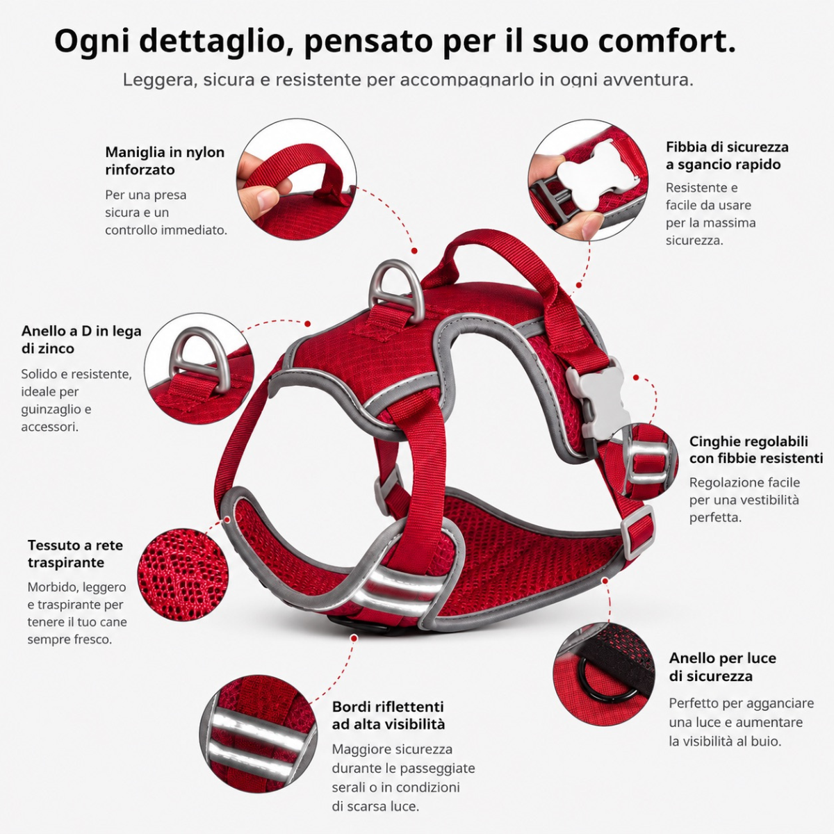 Pettorina e guinzaglio Sweet Motion