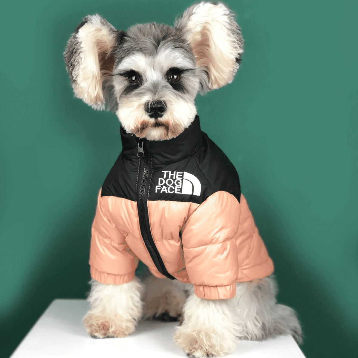 The Dog Face Piumino - Sweet Animal