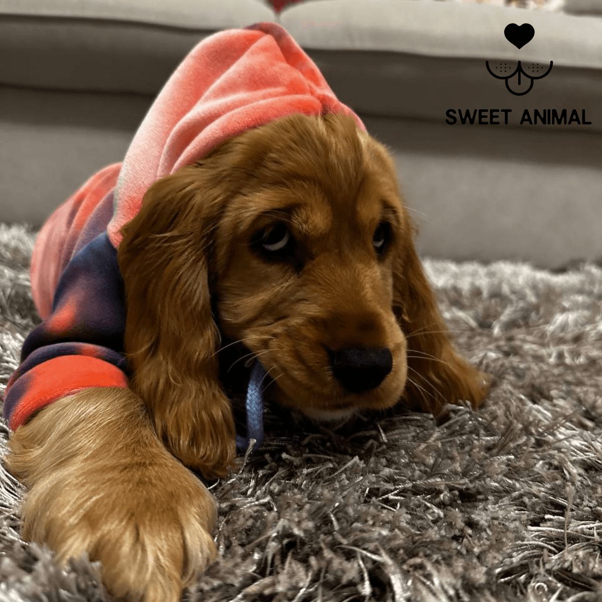 Felpa Sweet Animal™ - Sweet Animal