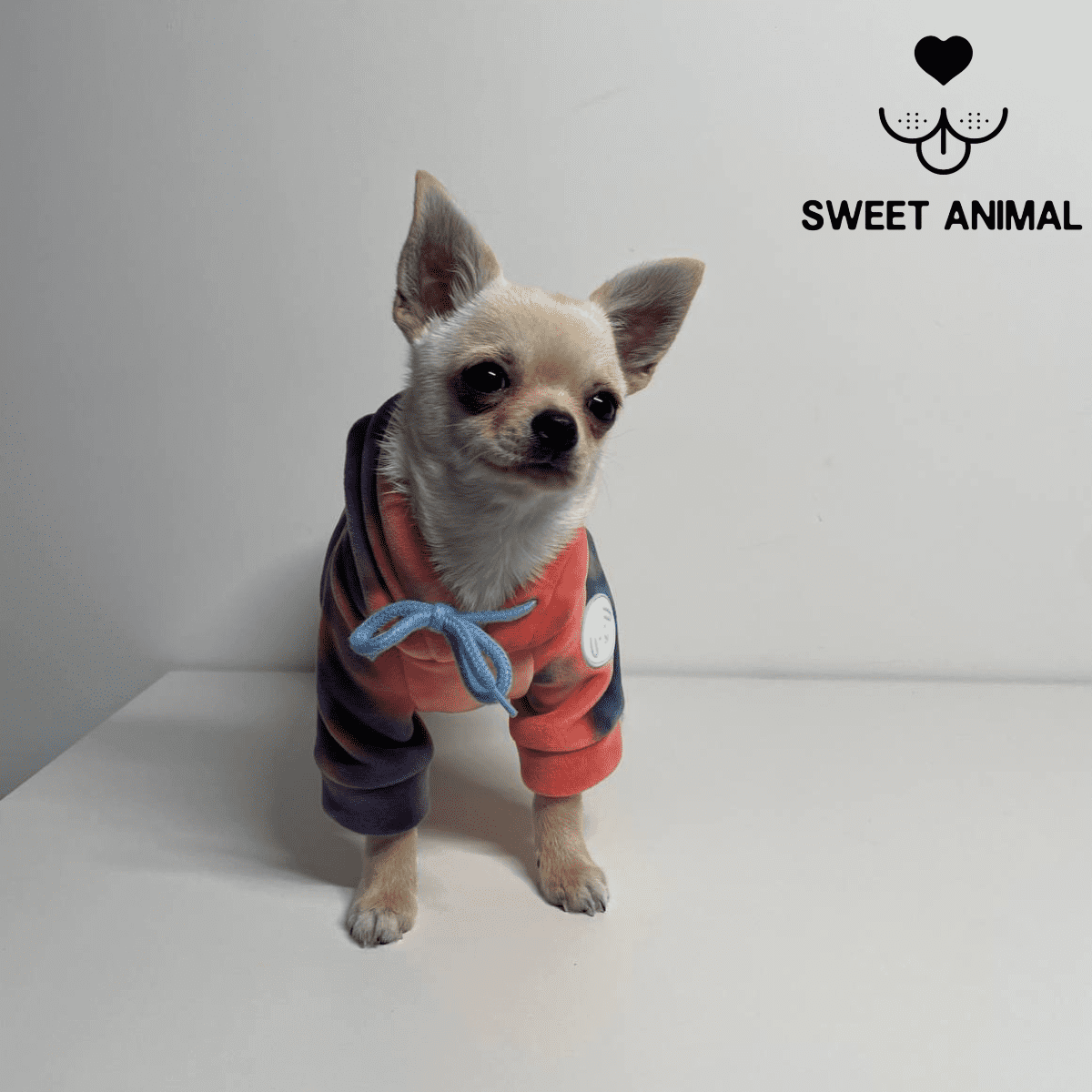 Felpa Sweet Animal™ - Sweet Animal