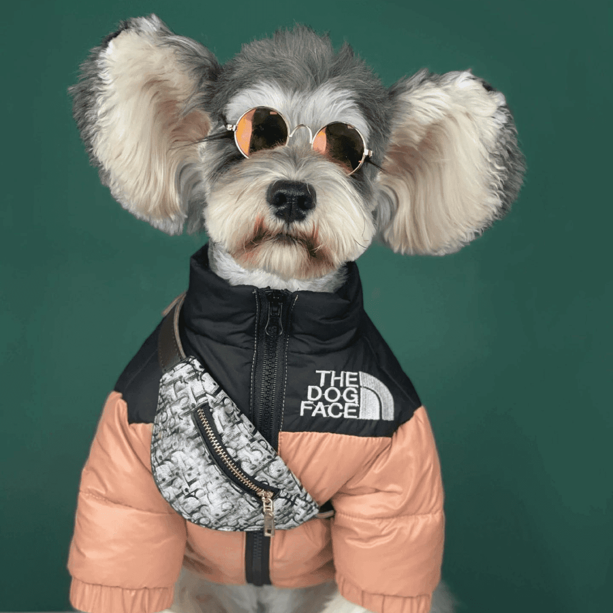 The Dog Face Piumino - Sweet Animal